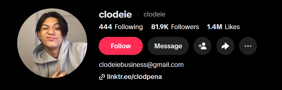 Original TikTok profile screenshot for clodeie